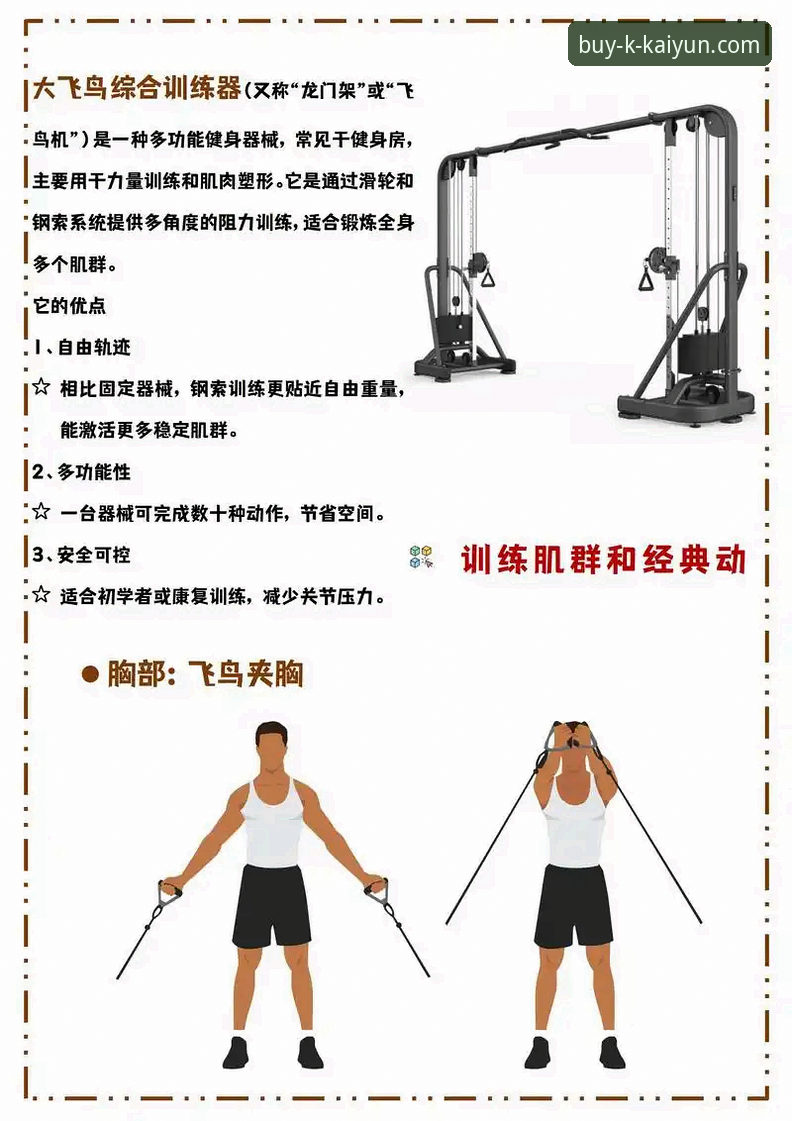 kaiyun体育平台高效使用指南：从入门到精通的实用技巧