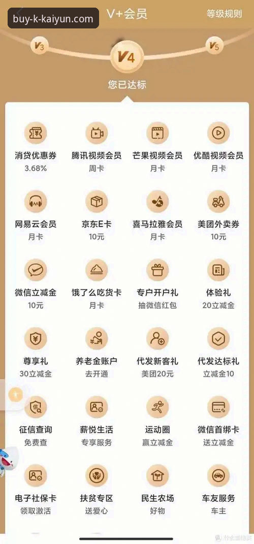 KAIYUN体育平台使用指南：从官网入口到会员权益的完整攻略