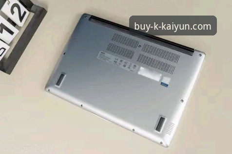 KAIYUN中国注册安装完整流程深度评测：2024最新版本实测体验